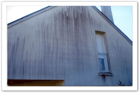 Images_r03