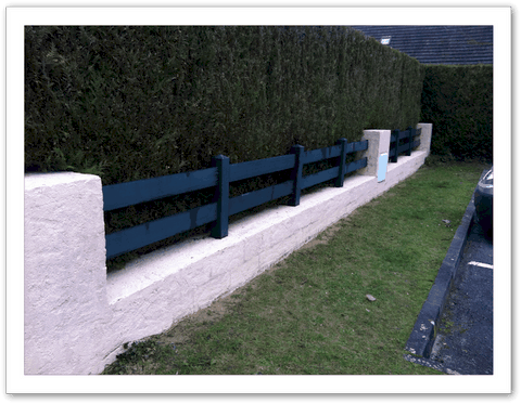 Images_r12