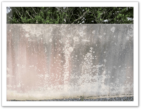 Images_r13