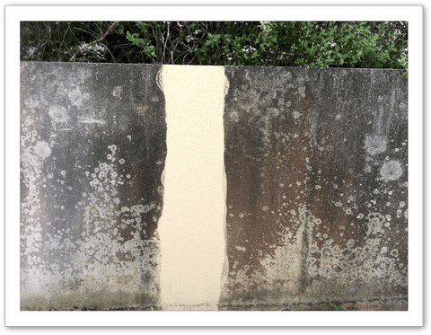 Images_r14