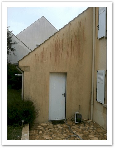 Images_r07